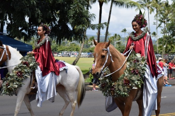 Hilo Cruise Day Tours