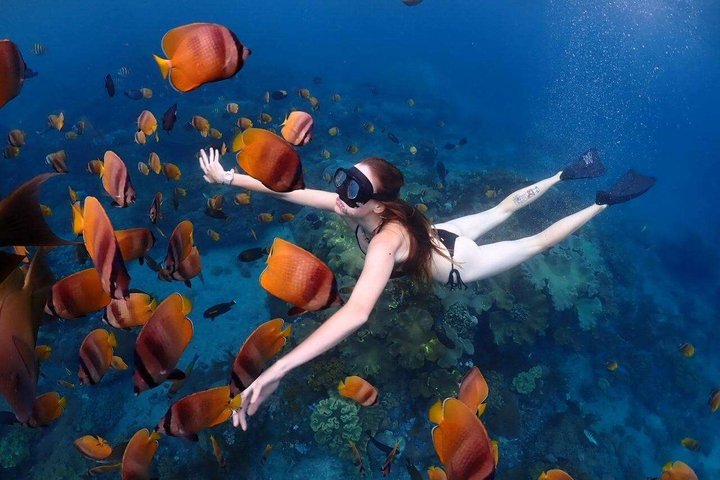 Bali Blue Lagoon Snorkeling with Lunch & Private Hotel Transfer