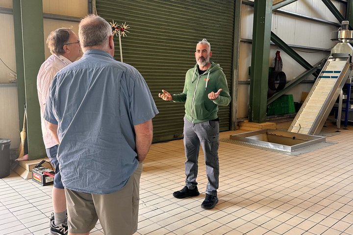 From Rethymno Private Tour: Chania-Holy Trinity-Olive oil factory