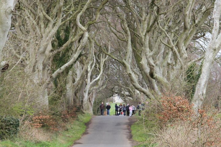 Ultimate Causeway Coast Private Tour - From Belfast Up to 4 Pax