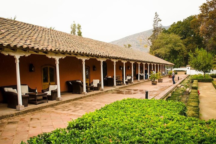 Viña Santa Rita Premium Tour and 5 Wine Tasting Small Group
