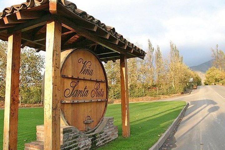 Viña Santa Rita Premium Tour and 5 Wine Tasting Small Group