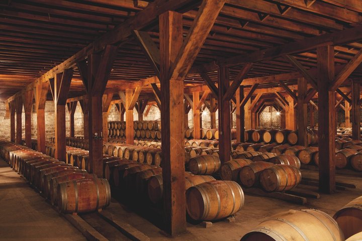 Viña Santa Rita Premium Tour and 5 Wine Tasting Small Group