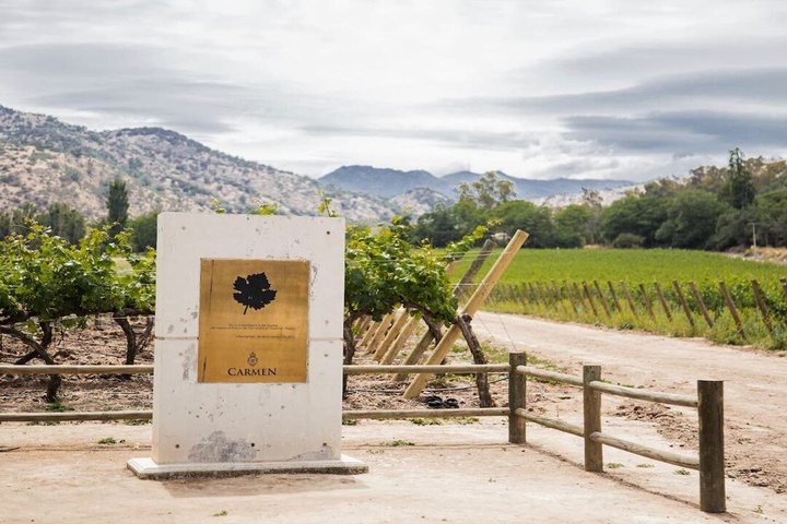 Viña Santa Rita Premium Tour and 5 Wine Tasting Small Group