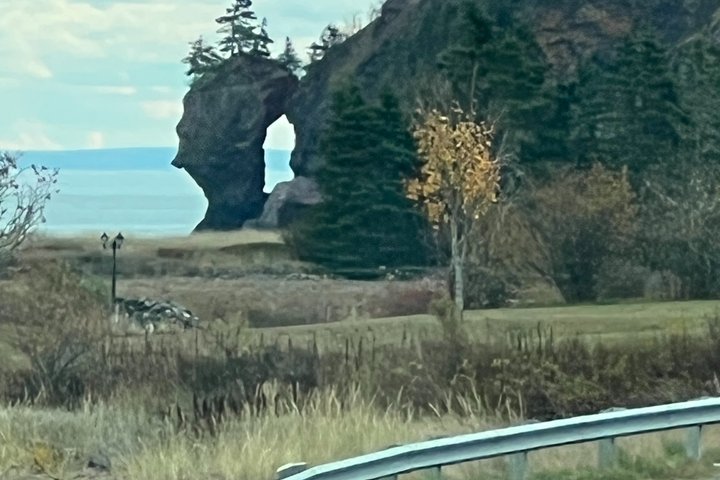 Bay of Fundy Shared Tour Adventure