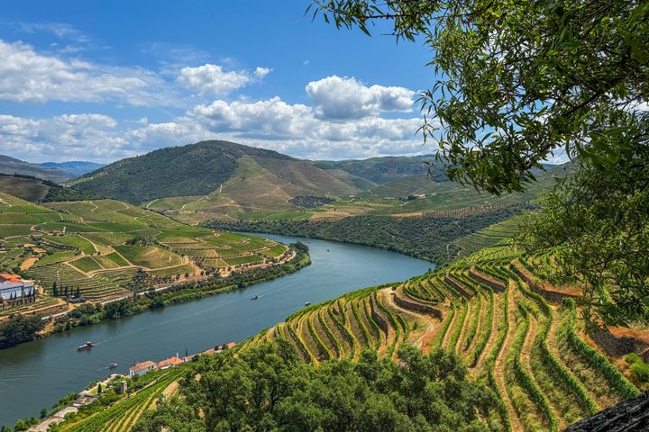 Best of the Douro in a Day: Boat, Wine and Family Lunch