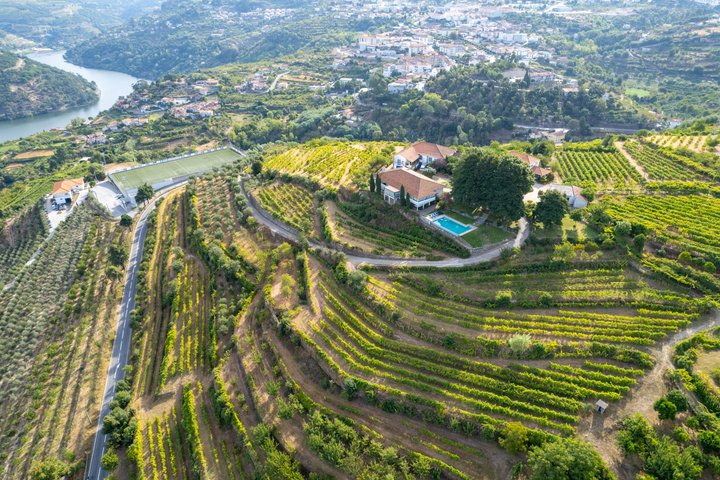 Best of the Douro in a Day: Boat, Wine and Family Lunch