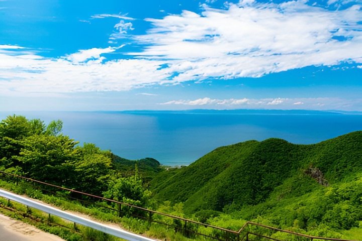 Niigata Private Custom Tour with Local Guide