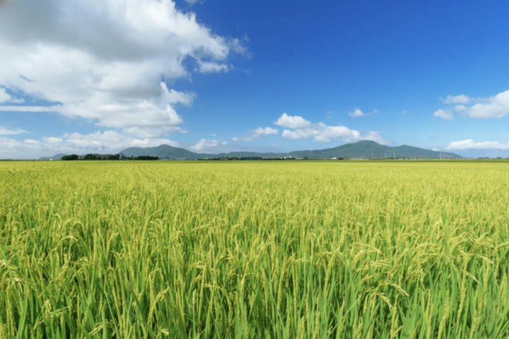Niigata Private Custom Tour with Local Guide