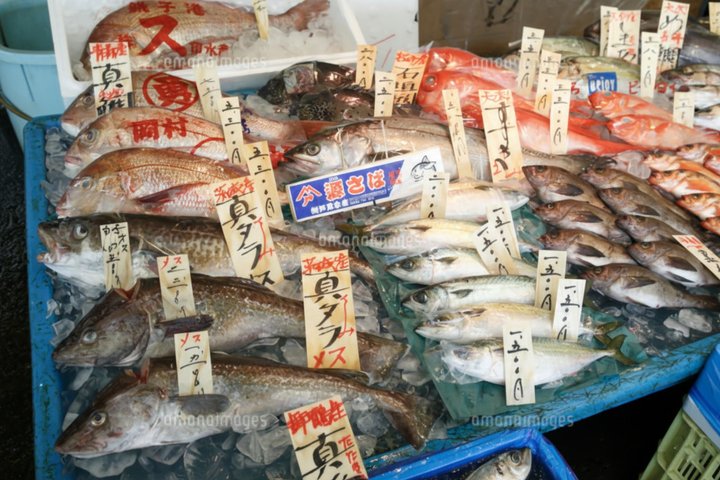 Niigata Private Custom Tour with Local Guide
