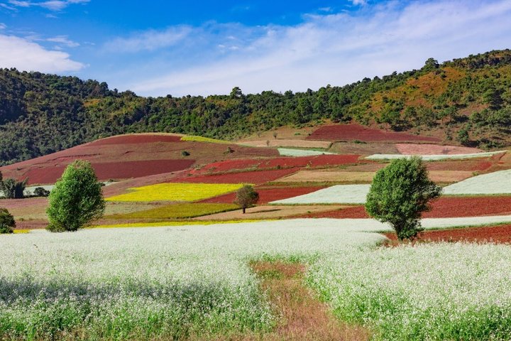 Kalaw Full-Day Sightseeing