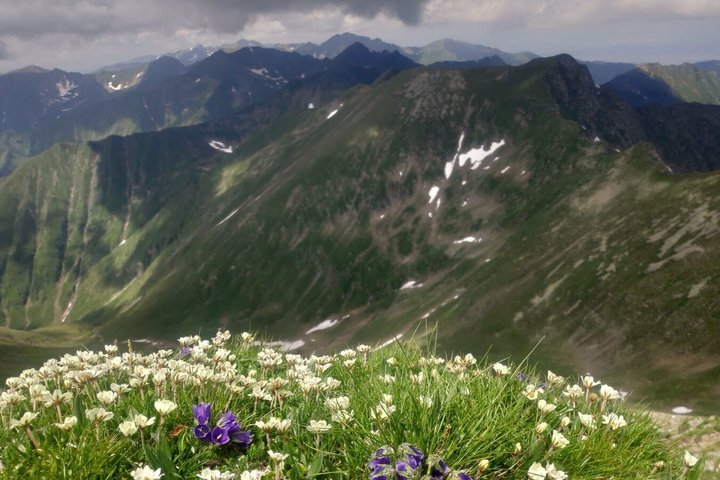 Day Hike PRIVATE - Fagaras Mountain