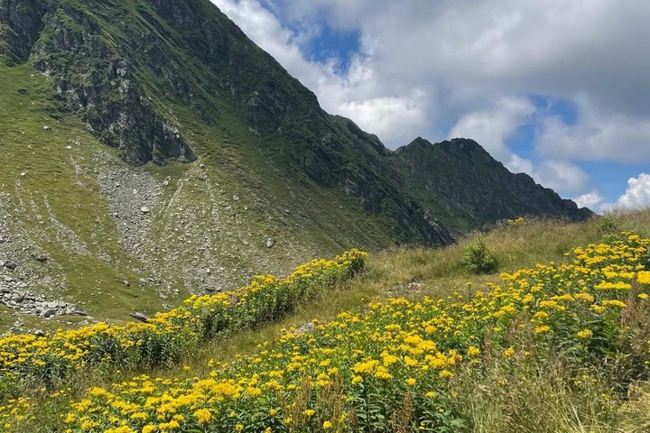 Day Hike PRIVATE - Fagaras Mountain