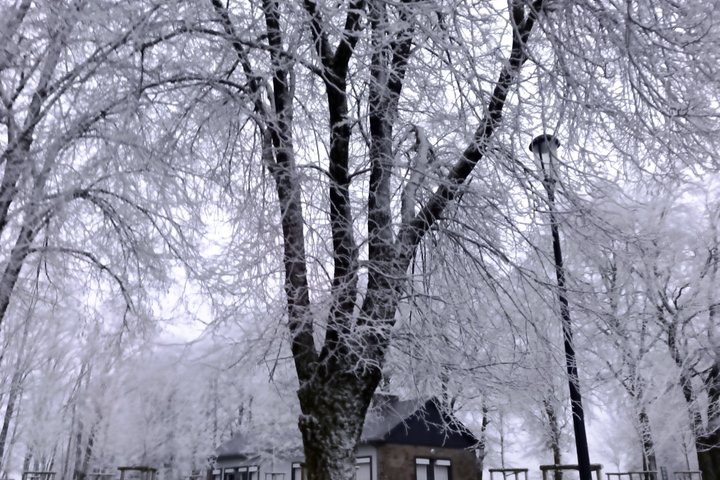 The Battle of the Bulge Experience - A day tour from Brussels