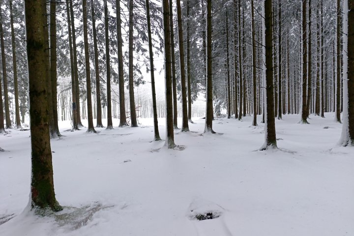 The Battle of the Bulge Experience - A day tour from Brussels