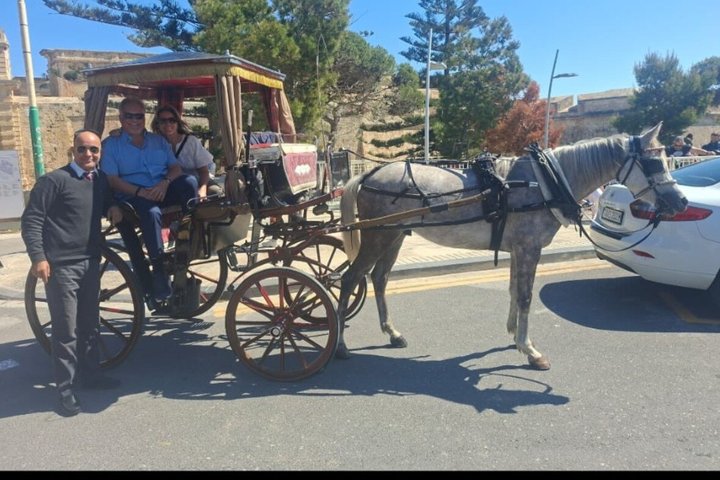 Private Chauffeur Island Tour of Malta ( Fully Customizable )