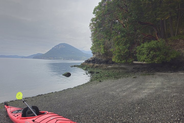 Rosario Coastal Kayak Tour on Orcas Island