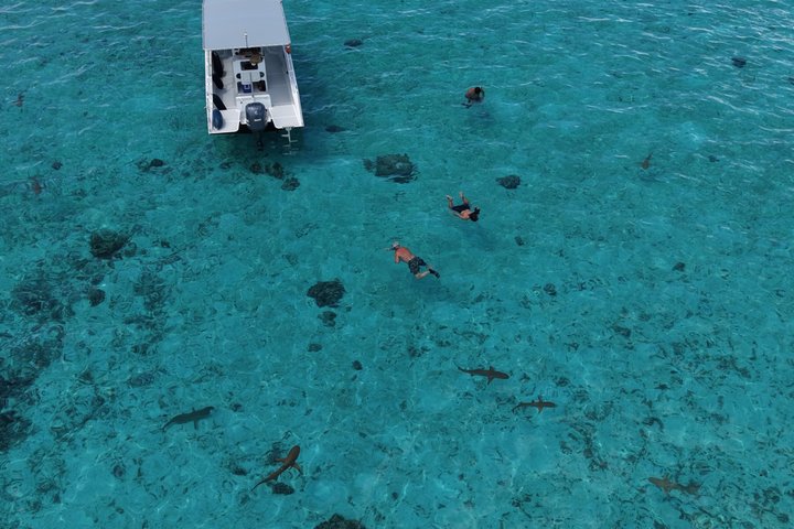 Snorkeling in Taha’a or Raiatea – Half Day by Iriatai Excursions