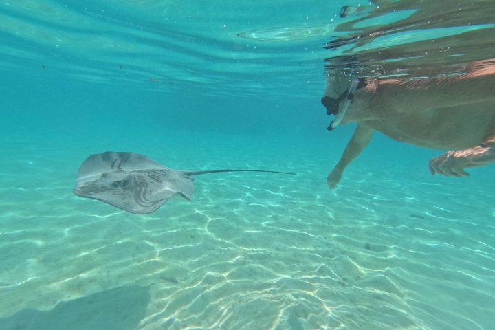 Snorkeling in Taha’a or Raiatea – Half Day by Iriatai Excursions