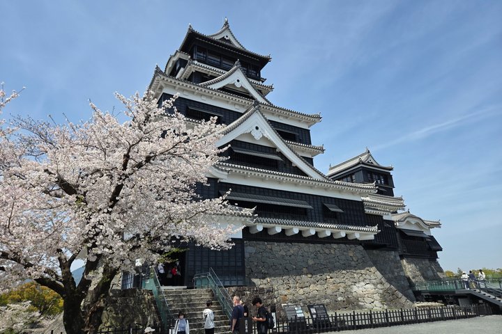 Kumamoto Castle: The Full Story Tour