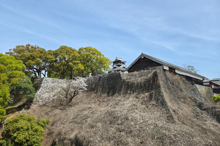 Kumamoto Castle: The Full Story Tour