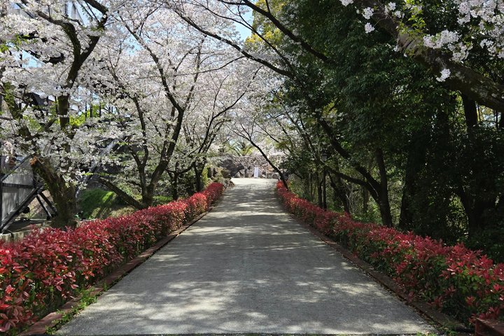 Kumamoto Castle: The Full Story Tour