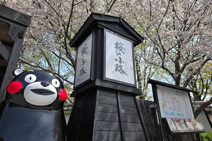 Kumamoto Castle: The Full Story Tour