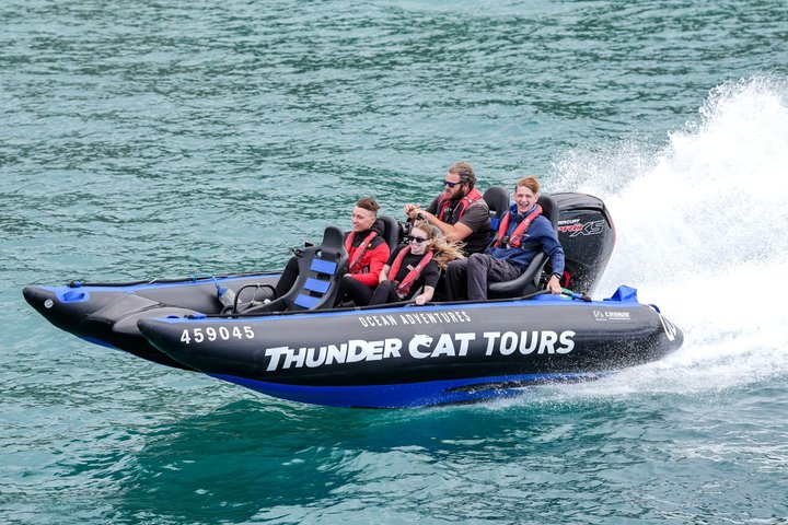 Phillip Island High Speed Sea Caves Boat Tour with Seal Sighting