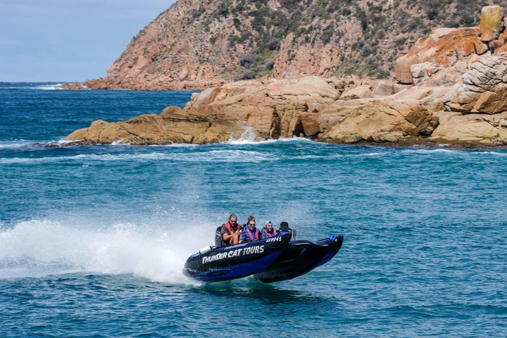 Phillip Island High Speed Sea Caves Boat Tour with Seal Sighting