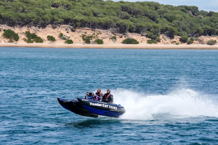 Phillip Island High Speed Sea Caves Boat Tour with Seal Sighting