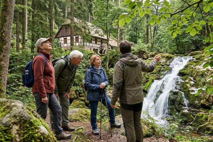 Private Full-Day Tour in Baden-Baden Black Forest Heritage