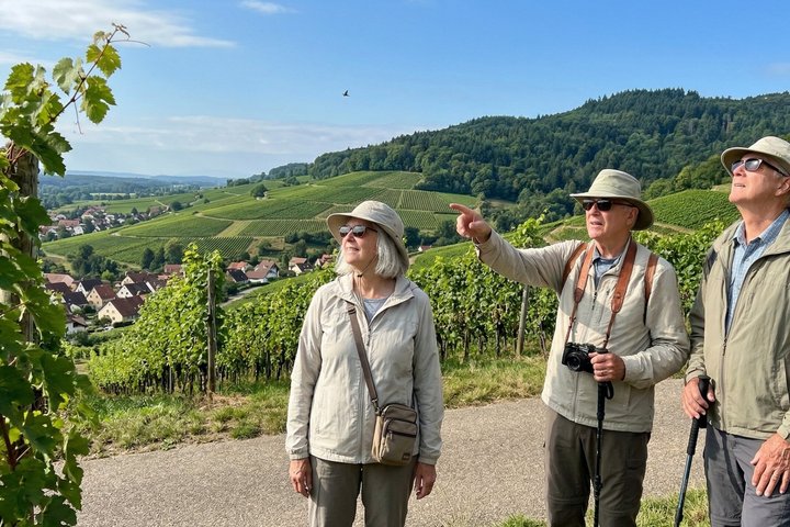 Private Walking Tour in Baden-Baden Vineyard Heritage