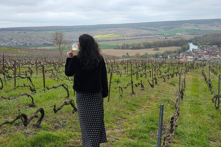 Champagne Munoz Bruneau : Half Day Visit and Tasting