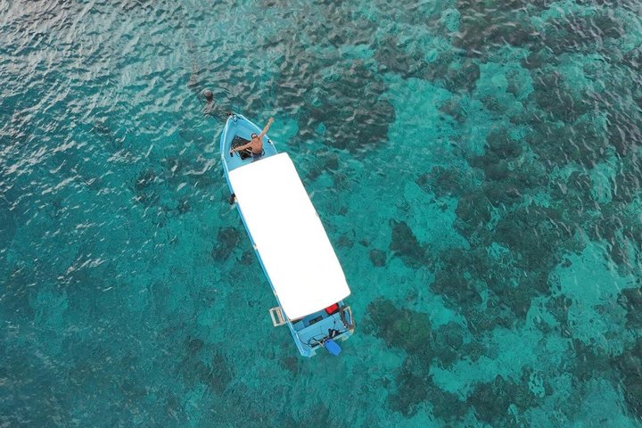 Private Gili Snorkelling Tour: Turtles & Reefs + GoPro + Drinks