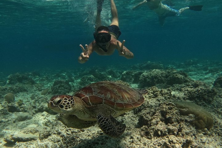 Private Gili Snorkelling Tour: Turtles & Reefs + GoPro + Drinks