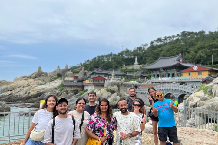 (On-Time Return) Busan Cruise Shore Excursion for Small Group