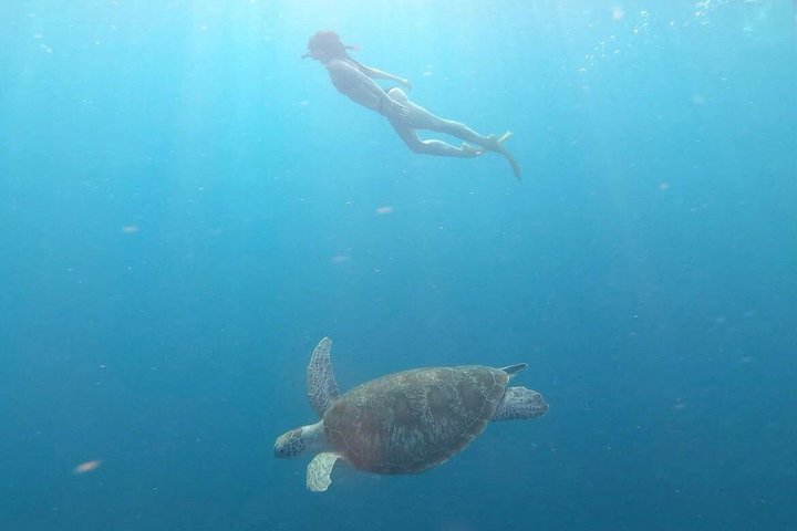 Private Gili Snorkelling Tour: Turtles & Reefs + GoPro + Drinks