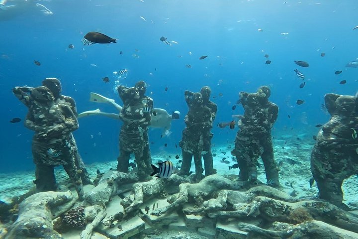 Private Gili Snorkelling Tour: Turtles & Reefs + GoPro + Drinks
