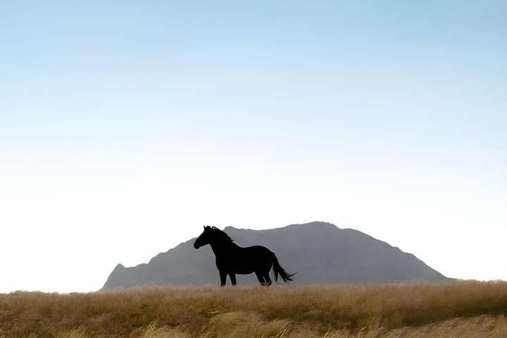 7 Day Southern Namibia and Sossusvlei Camping Safari