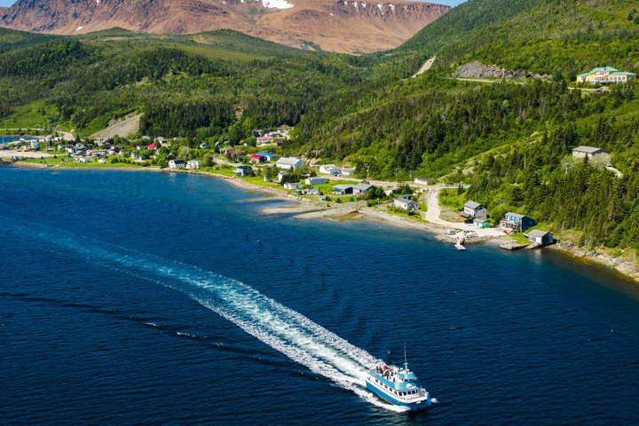 Tablelands Bonne Bay Catamaran Tour