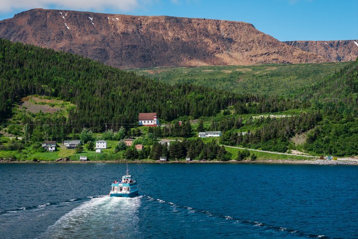 Tablelands Bonne Bay Catamaran Tour