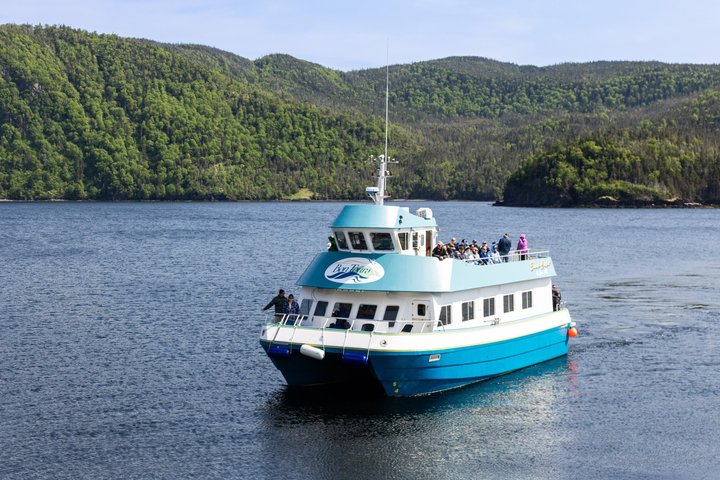 Tablelands Bonne Bay Catamaran Tour