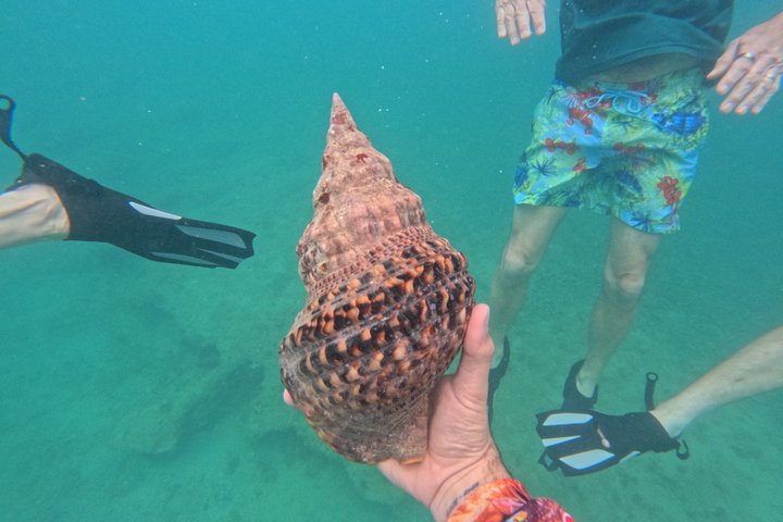 Vieques: Sea Turtle Snorkeling Small-Group, Photos & Snacks
