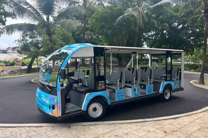 CHIPPIES BAHAMAS Island Tours : Feel The Culture