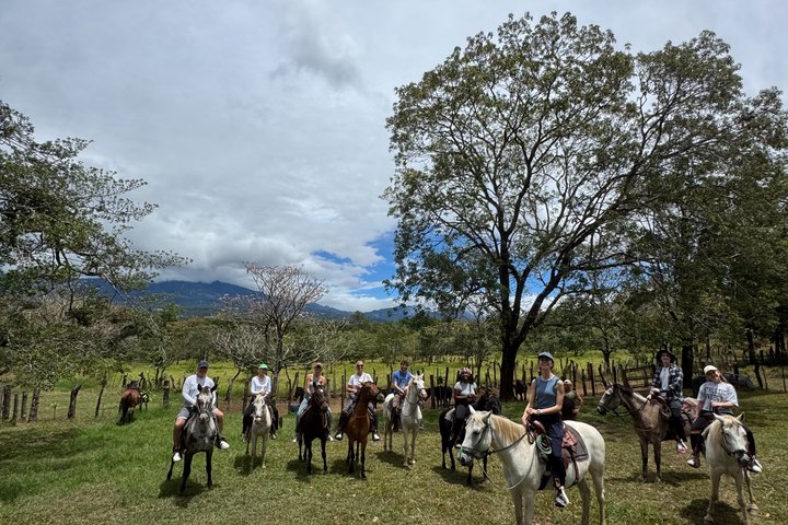 Epic Cloud Forest Horseback Riding Adventure in Boquete