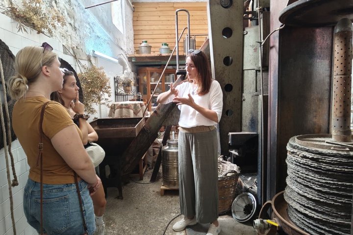 Oil-tasting experience near Cefalu
