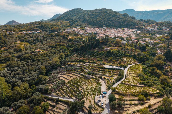 METAXA and Wine Experience