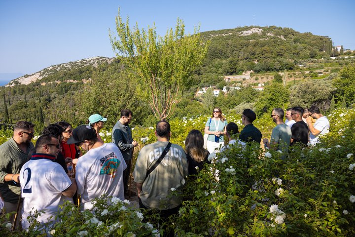 METAXA and Wine Experience