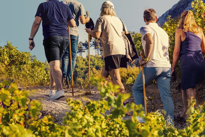 METAXA and Wine Experience