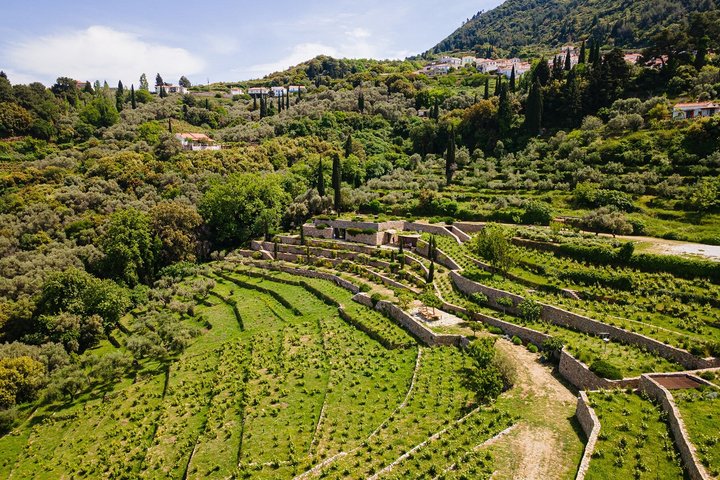 METAXA and Wine Experience